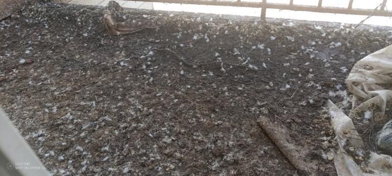 Quand poser des grilles anti-intrusion oiseaux plutôt que des pics : le guide SOS DC à Aubervilliers et aux environs WhatsApp Image 2025 03 06 A 11.13.43 6ff56820