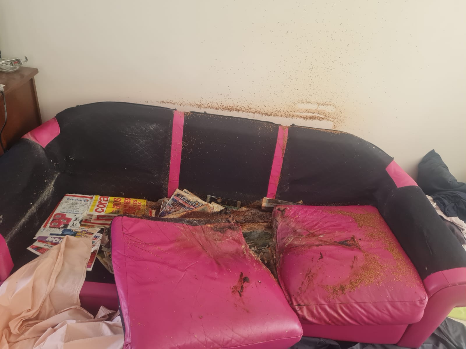 À quelle fréquence remplacer sacs et filtres HEPA sur chantier extrême à Aubervilliers et aux environs WhatsApp Image 2025 04 18 A 17.15.46 7c03292f