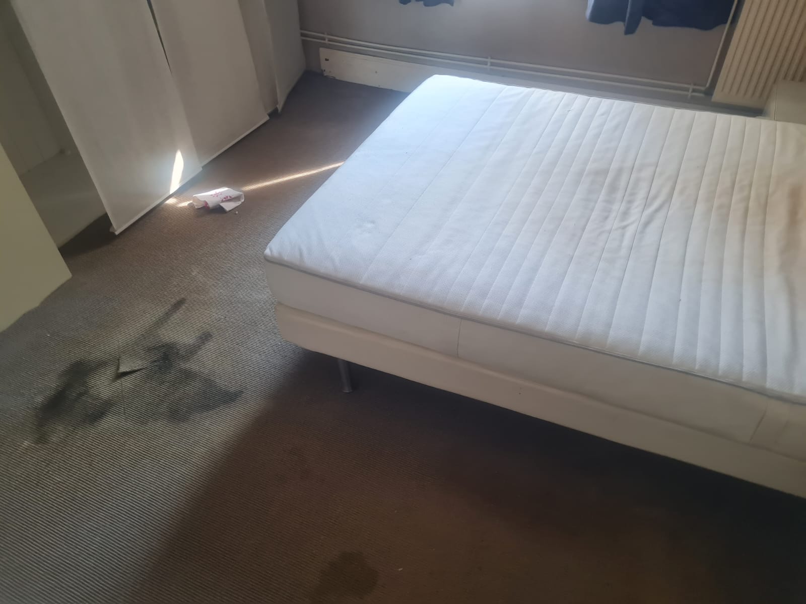 Comment traiter des plinthes creuses imprégnées d’odeurs à Aubervilliers et aux villes environnantes WhatsApp Image 2025 06 19 A 10.28.45 66522fe9